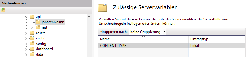 iis_konfiguration_servervariablen2