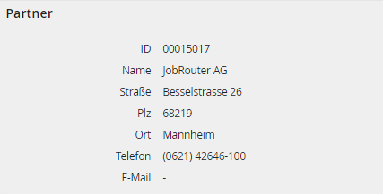 Systeminformationen – Allgemein, Abschnitt Partner